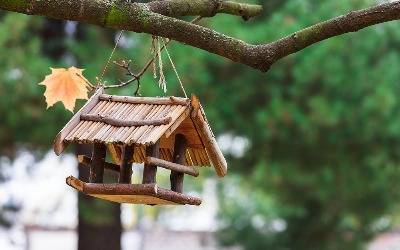 Vogelfutterhaus zum Aufhängen am Baum im Sommer