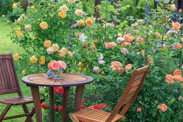 Englische Rose Strauch Terrasenbepflanzung Sitzecke Gartenstuhl Gartentisch