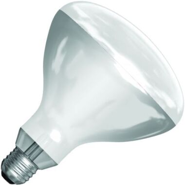 SPL |  Infrarotlampe R-Kolben/Reflektorlampe