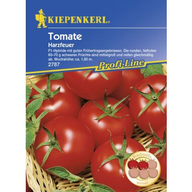 Kiepenkerl Tomate Harzfeuer Solanum lycopersicum, Inhalt: 19 Korn