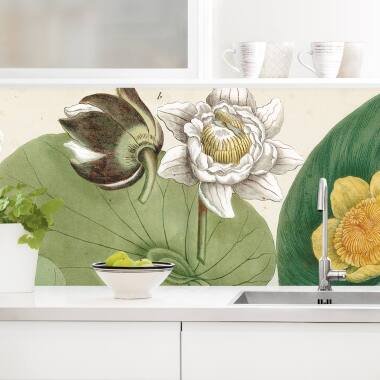 Küchenrückwand Vintage Illustration Weiße Wasserlilie
