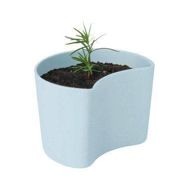 RIG-TIG YOUR TREE Blumentopf mit Samen Blau (Tall)