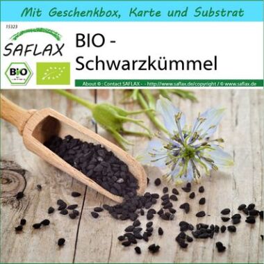 SAFLAX Geschenkset Bio Schwarzkümmel 300