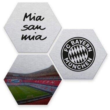 Wall-Art Mehrteilige Bilder »Silber FC Bayern
