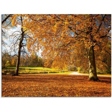 Artland Glasbild »Herbst bei Schlosses Nymphenburg«