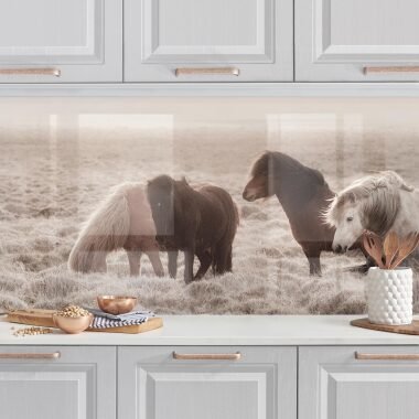 Küchenrückwand Island Wildpferde