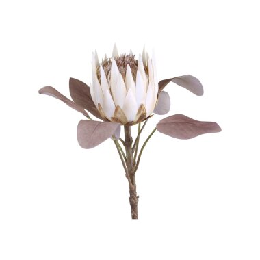 Fleur Kunstblume Protea, H66 cm, creme