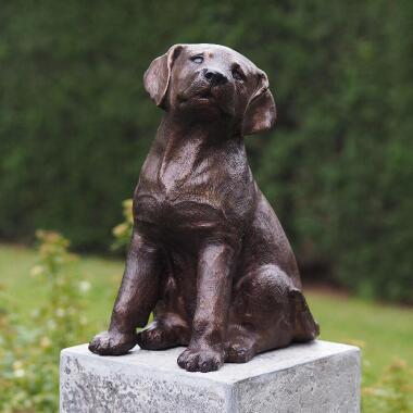 Sitzender Labrador Welpe aus Bronze dunkelbraun Hund Pina