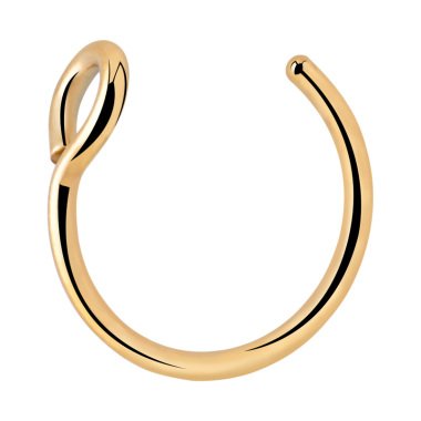 Fake Piercing Ring, Vergoldeter Chirurgenstahl
