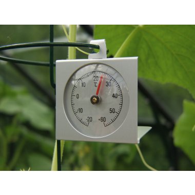 Vitavia Thermometer