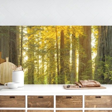 Küchenrückwand Natur & Landschaft Redwood
