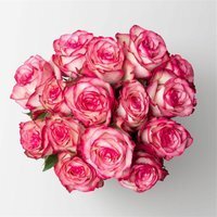Blumenbund mit Rosen 'Paloma', rosa-creme