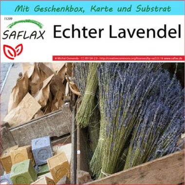 SAFLAX Geschenkset Englischer Lavendel 150