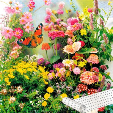 Blumensamen Shop & Blumen-Saatteppich 0,20 x 3 m Schmetterlingswiese