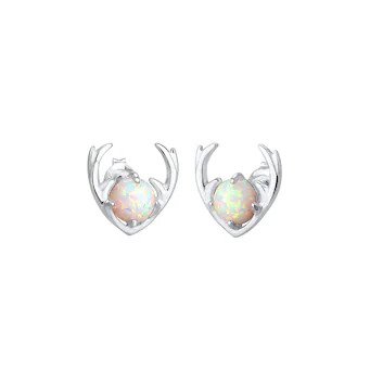 Silber-Ohrringe aus 925 Silber