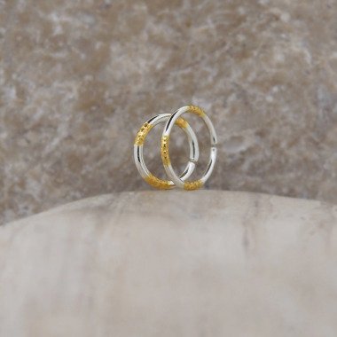 Nasenring aus Metall & Knorpel Silber Gold Piercing Nahtlos Kreis Ring
