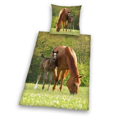 Bettwäsche Pferd mit Fohlen, Herding, Renforcé