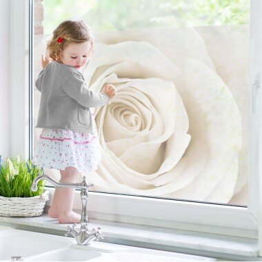Fensterfolie Pretty White Rose