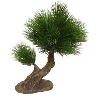 Künstlicher Pinus Bonsai Mini 25 cm