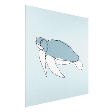 Forexbild Kinderzimmer Quadrat Schildkröte Line Art