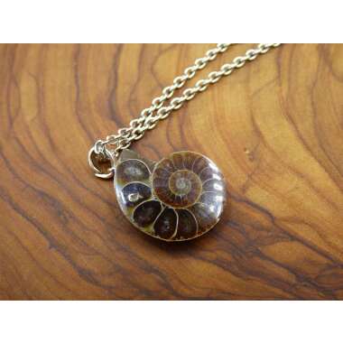 Ammonite Schnecke ~ 925 Sterling Silber Anhänger Kette ~Hippie ~Goa ~Boho
