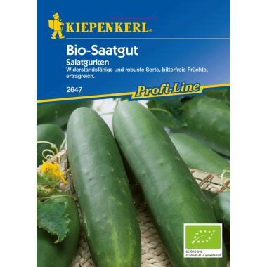 Kiepenkerl Bio-Saatgut Salatgurken Cucumis sativus, Inhalt: ca. 35 Pflanzen