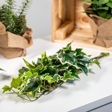 Heckenpflanzen Immergrün & Kunstpflanze Efeuhänger, weiß-grün, 45 cm