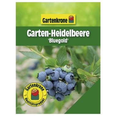 Gartenkrone Garten-Heidelbeere, Vaccinium