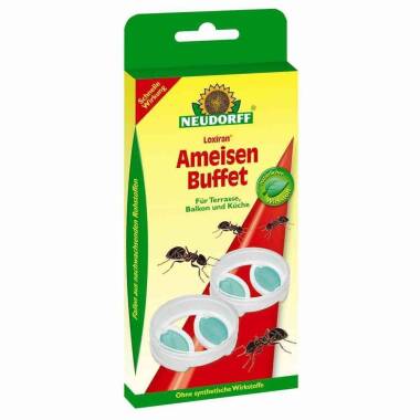Loxiran Ameisen-Buffet 2 Dose