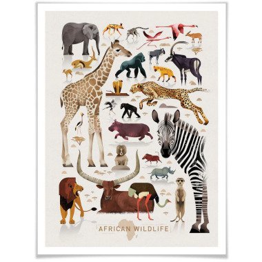 Wall-Art Poster »Africa Safari Tiere Zebra