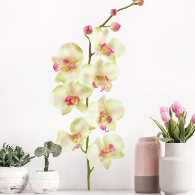 Wandtattoo Blumen No.190 Orchidee Weiß II