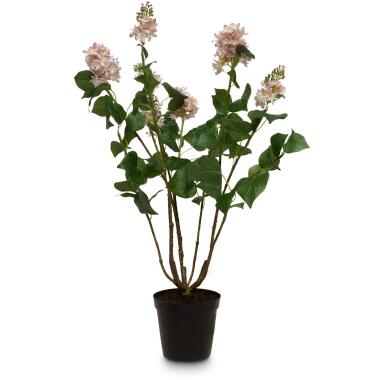 Flieder Syringa vulgaris Kunstpflanze Höhe 79 cm