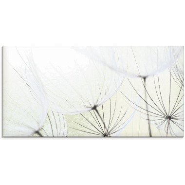 Artland Glasbild »Pusteblumen-Samen aufgehellt«, Blumen, (1 St.)