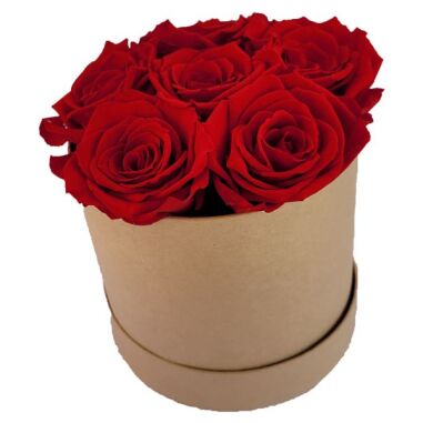 Blume aus Liebe & 6x Infinity Rose Rot als Geschenkbox Haltbare Rosen-