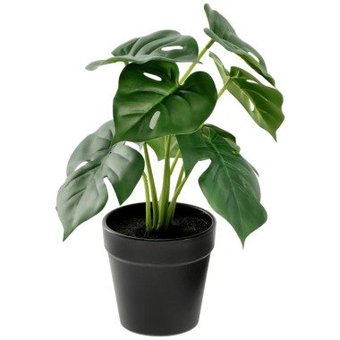 VEGA Kunstpflanze Nivia; 25 cm (H); grün/schwarz