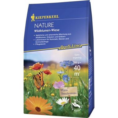 Blumenwiese Samen & Kiepenkerl Saatgut Wildblumen-Wiese ca. 40 qm