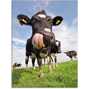 Artland Glasbild Holstein-Kuh mit gewaltiger