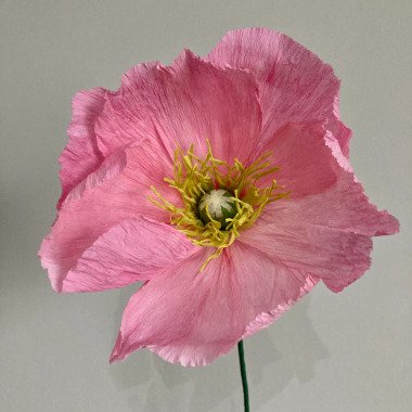 Krepppapier Mohn, Geschenk Für Poppy, Blumentischdekoration