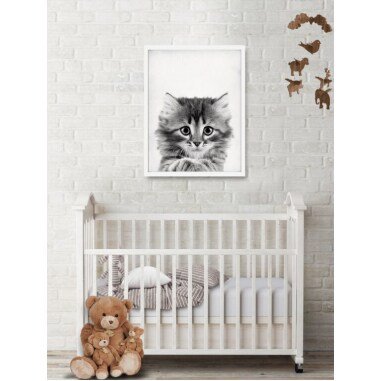 Baby Katze Poster, Fotodruck, Haustier Thema