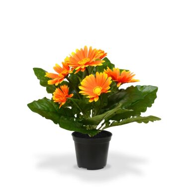 Orange Gerbera Kunstpflanze 30 cm in Topf
