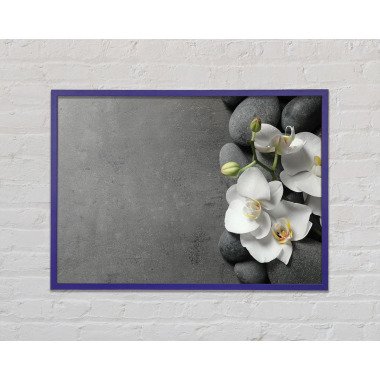 Weiße Orchidee auf grauen Kieselsteinen - Einzelner Bilderrahmen Kunstdrucke