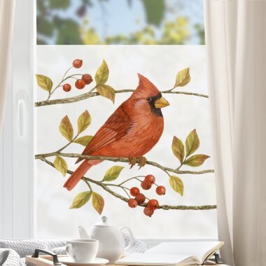 Fensterfolie Vögel und Beeren Rotkardinal
