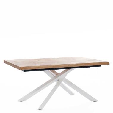 Baumscheiben Tisch & Esszimmertisch mit Eiche furniert Mikado Fußgestell