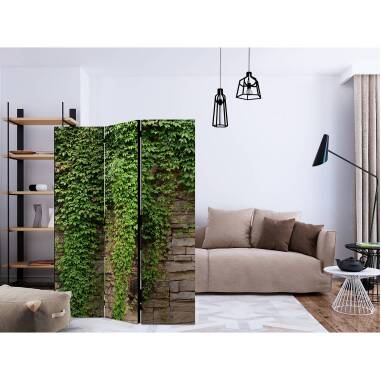 Paravent Ivy wall