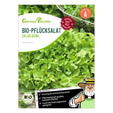Bio Saatgut Versand & BIO Pflücksalat Salad Bowl Samen