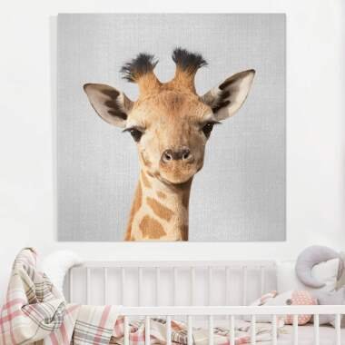 Leinwandbild Baby Giraffe Gandalf