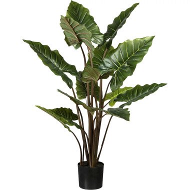 Kakteenerde & Taropflanze, 14 Blätter, Topf mit Erde, Höhe 1400 mm