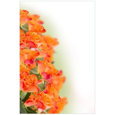 Wallario Wandfolie, Orangene Rosenblüten