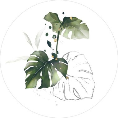 Pro Art Glasbild »Watercoloured Palm Leaves
