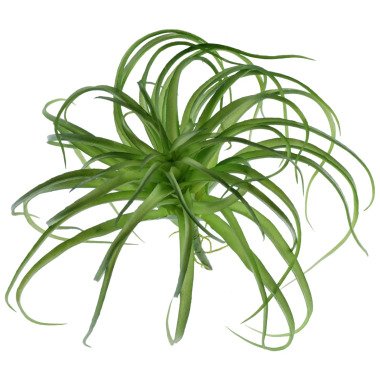 VEGA Kunstpflanze Khadija; 28 cm (H); grün